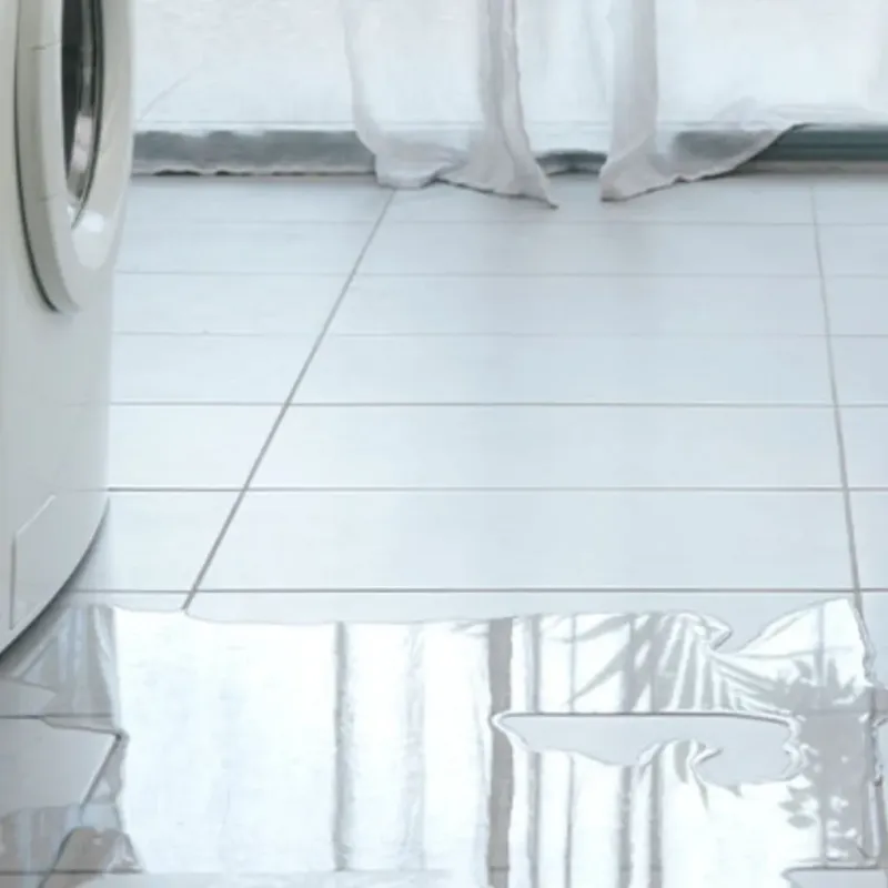 Appliance Leak Cleanup in Greenfield, OH