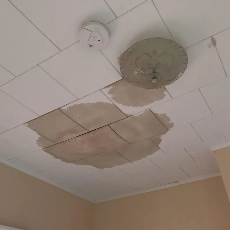 Ceiling Water Damage Repair in Greenfield, OH
