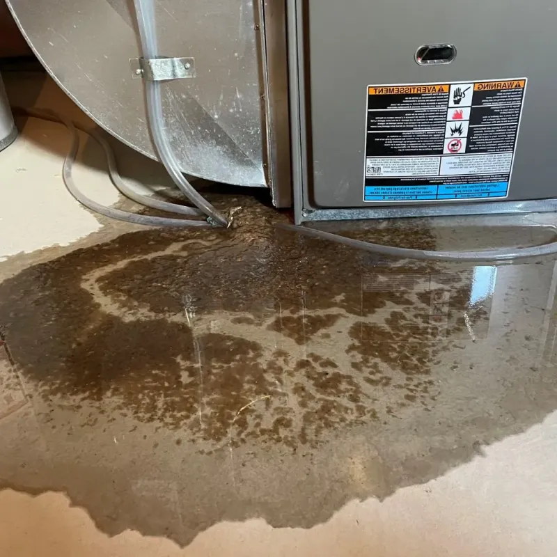 Pipe Burst and Leak Restoration in Greenfield, OH
